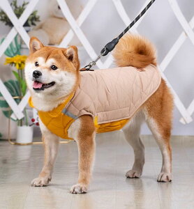  hbOEFA ybg ߑ 킢  H~ g  efB R[M[ t`uhbO ^ xXg h CG[ u[ bh