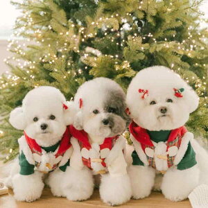  hbOEFA ybg NX}X ߑ 킢  RbgR[g  efB rV R[M[ L H~ bh lCr[ zCg