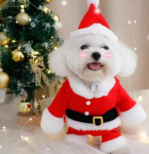 ���� �h�b�O�E�F�A �y�b�g �N���X�}�X �ߑ� ���킢�� ������� �T���^ �L �ϐg ���� �ʔ��� �����^ �X�q �~ ���b�h