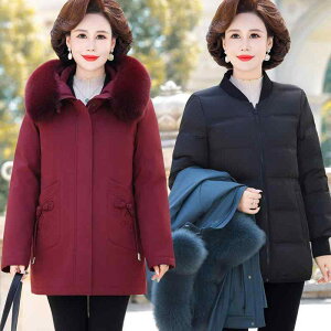 VjA  i  fB[X N V[g _E WPbg ~ R[g    