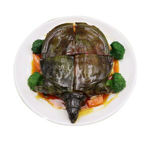 HiTv A Ɩp Xg HX { fBXvCW ؗ ۂ ύ