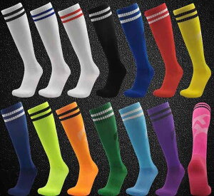 TbJ[\bNX Y fB[X q j̎q ̎q C WjA G g[jO w X|[c  ~ F sN 