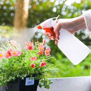 傤  ~j W[  |  K[fjO {g ƒp 艟 Xv[{g uE O[