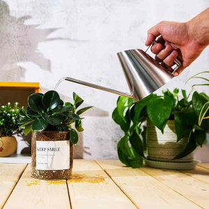 傤  ~j W[  |  K[fjO XeX k ƒp XvN[  Vo[ S[h