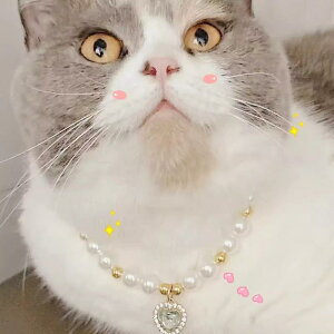 ybg L  lbNX  ANZT[  킢 WG[ p[ O[ u[