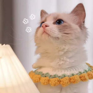 ybg L  lbNX  ANZT[  킢 ҂ ߉\ sN CG[ bh