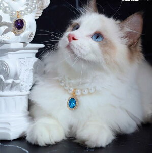 ybg L  lbNX  p[ g  y_g lbN 킢 ANZT[ u[ p[v O[