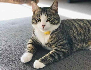 ybg L  lbNX  x WG[ ^ 킢 U[ O[ ubN sN