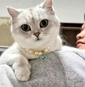 ybg L  lbNX  p[ 킢  CXg[ WG[ ANZT[ O[ u[ ubN