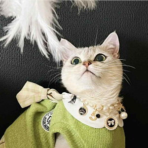 ybg L  lbNX  p[ ANZT[ 킢 ^ ubN zCg sN