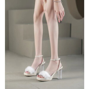 t@[ nCq[ T_ fB[X V[Y  U[ I[vgD Xgbv zCg