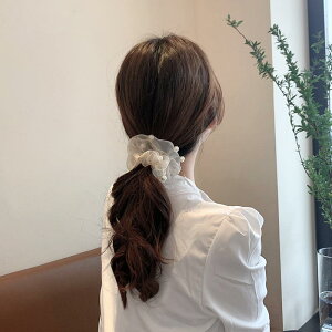 VV wAS p[ wAANZT[ fB[X wAO Vv Soh ؍ wbhhX ubN x[W