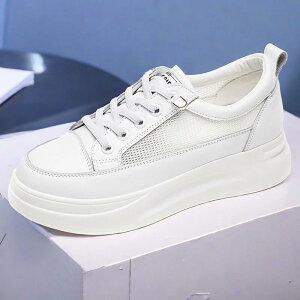 C fB[X N t  bV ʋC K ^ X|[c  Xj[J[ PC