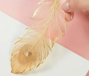    ubN}[N K^̉H g Mtg I  piG  Ǐ ubNz_[