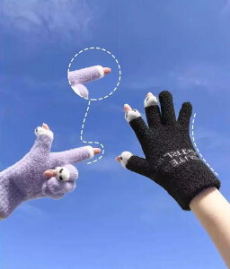  O[u fB[X w ~ g E[ 킢 gѓdb h O{w    