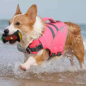 CtWPbg  hbOEFA ~ C  V v[ ybgpi    CG[ bh