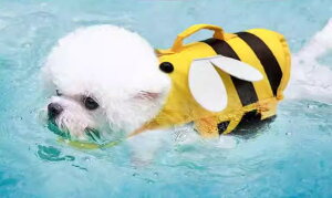 CtWPbg  hbOEFA ~ C  V v[ ybgpi  I g{  CG[ O[