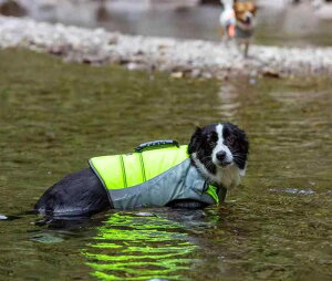 CtWPbg  hbOEFA ~ C  V v[ ybgpi   IW 