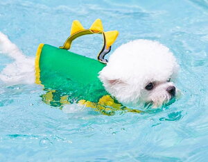 CtWPbg  hbOEFA ~ C  V v[ ybgpi   XCJ  킢 O[ CG[ `FbN