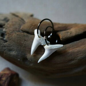 sAX Y fB[X ANZT[ T̎ CO I[ GlM[ Mtg WG[ t@bV