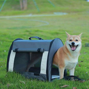  L ybg  bN L[obO ΂ Oop U s ԍ e ܂肽݉\   ʋC O[ IW