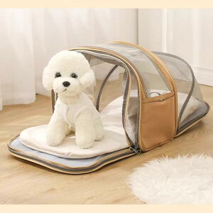  L ybg  bN L[obO ΂ Oop U s ^  | g\ ֗ sN O[ J[L