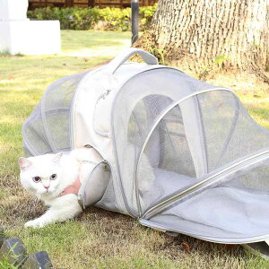  L ybg  bN L[obO ΂ Oop U s L[ e ʋC g\ obNpbN O[ x[W ubN