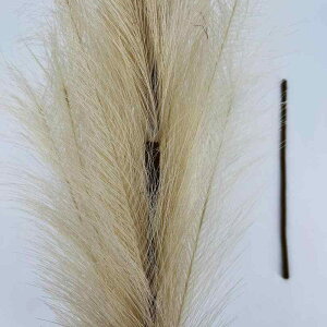 tFCNO[ lHAV tFCNAV ppXOX k CeA  g |[ Lkbh  Be Op fBXvC rO Q  ItBX Cx