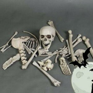 �n���E�B�� �f�R���[�V���� �z���[ ���| �X�J�� �]���r �[�� �h�N�� �X�P���g�� �݂艺�� �o���o���� ���i �u�� �I�u�W�F �O�b�Y �p�[�e�B�[ �C�x���g ���������~ �E�o�Q�[�� ����