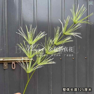 tFCNO[  ϗtA A AXpKX | AWTC ݂ EFfBO   ʘH Cxg CeA  Xܑ sv 