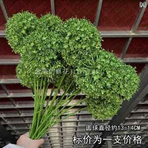  O[n Xѕ i` {^jJ EFfBO uC_   K[f tHgvbvX CeA VNt[ vX`bN O AWTC o