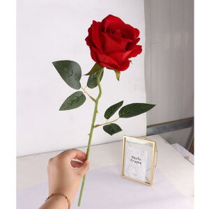  o tFCNt[ {} VOXe [Y xxbg VN z CeA rO  uC_  u GKg fBXvC IuWF