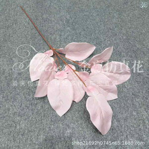  EFfBO  Cxgp 䂸̗t ł̗t ̗t tFCNO[ A t[AWg ԍ uC_ tHgvbvX nʑ X܃fBXvC 