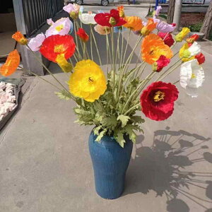  l ^ VNt[  tFCNt[ CeA z[fR[V EFfBO Bep fBXvC tAX^h