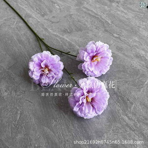  A[gt[ tFCNt[ 3{ NQ dO  VNt[  EFfBO I CeA rO   fBXvC Be A { 