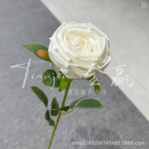  u[P  vZX[Y ܃o EFfBOu[P  uC_ 莝ԑ  CeA IuWF fBXvC Be ʐ^Be |GXe Aȑ