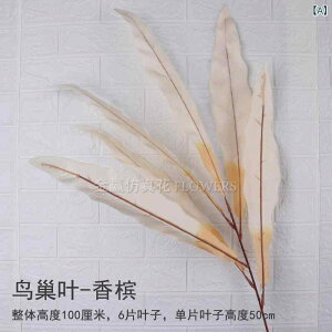  o[hlXg[t EFfBO  Vp V䑕 ze BeX^WI VbsO[ fBXvC tFCNO[ VNt[ `L ԍ t