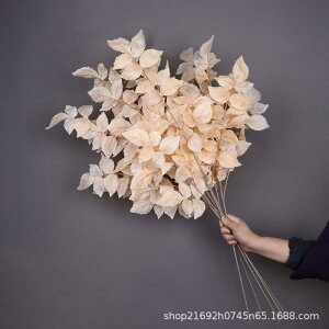  Xg`At tFCNO[ VNt[ t  EFfBO uC_ V ݂艺 ze X Ǝ{ Bep CeA A i