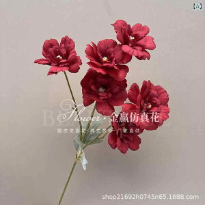  nCrXJX ؖȉ 6  A  EFfBO I Cxg ꑕ ʘH t[AWg fBXvC Ԍn sNn u[n zCg Vp 