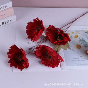  փ|s[ 4 VNt[  EFfBO I V䑕 ݂艺 ʘH ze X Cxg fBXvC O Be CeA  i