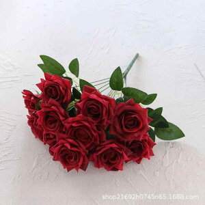  o VAg[Y VNt[ 12֑ EFfBOu[P  uC_ CeA Be i A[gt[ ^h~ G{XH FWJ O 