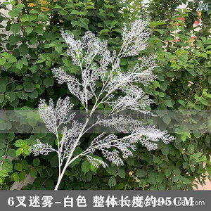  tFCNO[ 6{} ~Xgt[ V_t tXgOX ̗t Y EFfBO uC_   Be CeA z[fR vX`bN