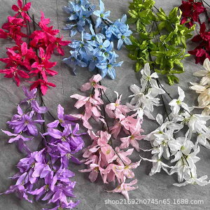  ^ VOXe EFfBO  I t QXgXy[X  t[AWg Bep tHgACe CeAfBXvC ԉo  ؂₩  