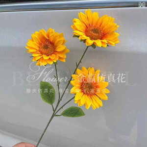  Ђ܂    VNt[ A I EFfBO  Cxg ꑕ Xܑ fBXvC  Be tFCNt[ A[gt[ Tt