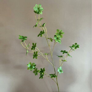  lHA tFCNO[ hE_ccW } AZr ϗtA A { ^ tA u CeAO[ fBXvC ԉo