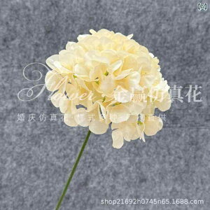  AWTC 72ԕ VOXe A VN |GXe EFfBO uC_  ze I Cxgo tAAWg ʘH c i`