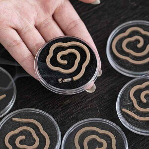  p ~j Q Y VR VRh   LNZC @ bNX  A} [tOX ґz