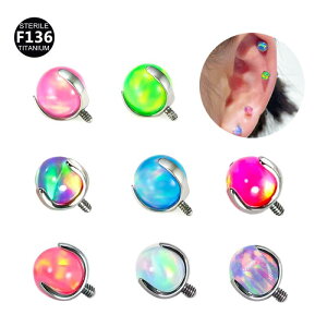 sAXp[c jp G23`^ I[ Ip[ wbh y AM[Ή   wbNX bv sAX {fBsAX 