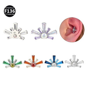 sAX jp F136`^  fCW[ ԉ Of[V 5AWRjA  {fBsAX LL AM[Ή y  ig wbNX gKX J