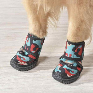  C hbOV[Y K ϖ H~ I[V[Y tbgJo[ ^ ^ X|[c bh u[